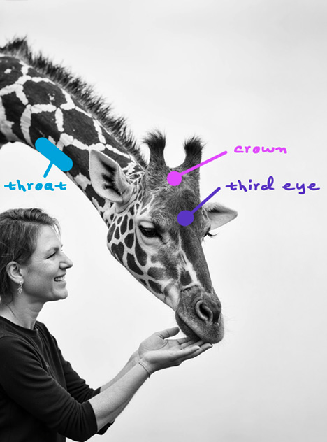 Sacred ID visual manifestation 6